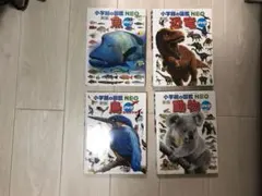 Item thumbnail for item 228665e9-a7e3-494f-b9e6-f0154d575519