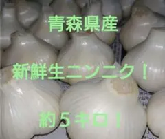 青森県産 新鮮生ニンニク 約1キロ！のサムネイル