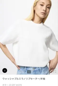 ウォッシャブルミラノリブセーター　ユニクロ