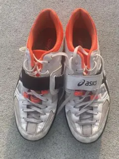 Item thumbnail for item 3e230500-2da5-4464-971d-6a431e34f836