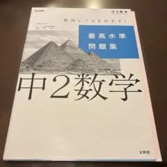 最高水準問題集 中2数学