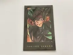 鬼滅の刃　竈門炭治郎　チェキ風ブロマイド　箔押し　ダイニング　柱稽古　②