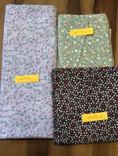 Item thumbnail for item e1d2ab6d-ef44-473f-9898-d462ec97aada