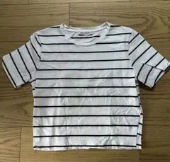 ZARA ホワイト/ブラックストライプ Tシャツ M