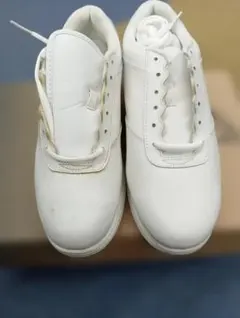 Item thumbnail for item cf94fa21-b9d7-44ac-9cd6-2f47a204bc94