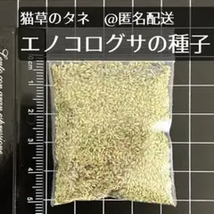 Item thumbnail for item 9ae9f287-8084-44c3-9ce7-8d3002434b6f