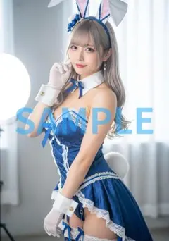 L1476　AI美女 A4ポスター コスプレ　水着　グラビア ランジェリー