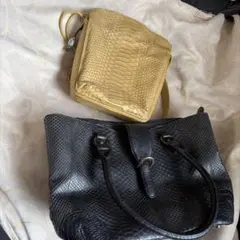 黒い&黄色ヘビ革ショルダーバッグ 二点セット