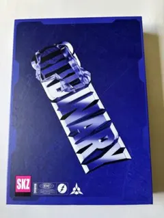 Stray Kids ODDINARY アルバム トレカ11枚入のサムネイル