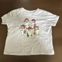 UNIQLO mofusand Tシャツ　120cm