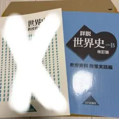2026年最新】教授資料 世界史 実践編の人気アイテム - メルカリ