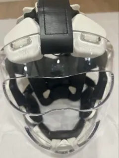 Item thumbnail for item e27d93d6-d7d3-480b-a1d6-7f2c3944442d