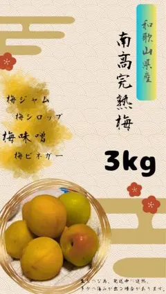 和歌山県産 南高完熟梅 3kgのサムネイル