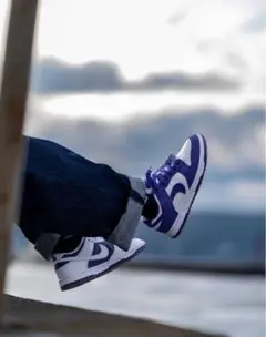 新品未使用！ナイキ　NIKE WMNS DUNK LOW