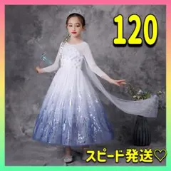 人気♪アナ雪2 エルサ 聖霊コスチューム 120 コスプレ 衣装 ドレス 上品