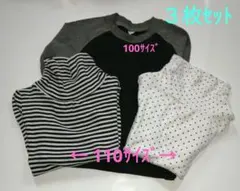 長袖３点セット　110cm 100cm