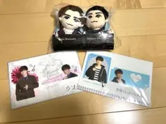 【れもんちゃん様専用】渡辺翔太カードセット、DREAM BOYSぬい森本慎太郎