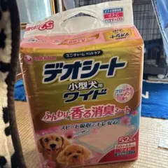 Item thumbnail for item 572f505f-e174-4d2b-abf7-dd16ac17c35f