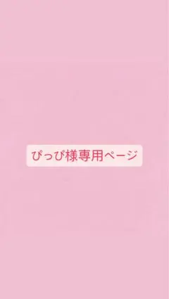 ぴっぴ様専用ページ