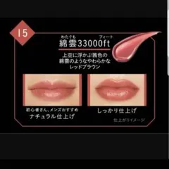 【KATE】リップモンスター　15綿雲33000ft