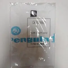 Item thumbnail for item 209a994b-053d-4747-88a7-66777c17310b