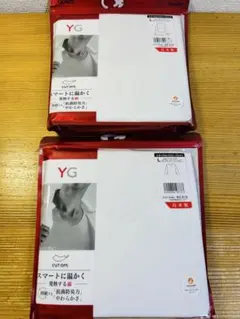GUNZE YG Vネック 長袖シャツ Lサイズ 2枚 カットオフ