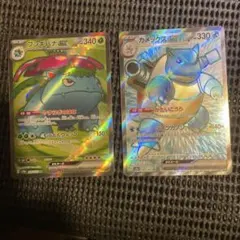 フシギバナex、カメックスex SR