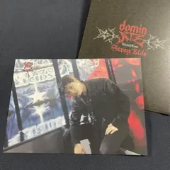 straykids スンミン dominate ラントレ トレカ