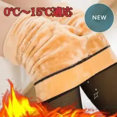 裏起毛 レディース タイツ 透け感 厚手 防寒 着圧 ヒップアップ 220g