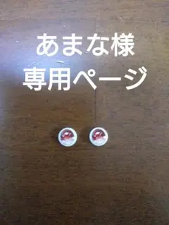 あまな様専用ページ