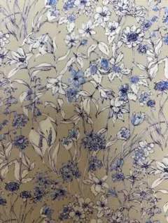 リバティはぎれワンダーフォーゲル