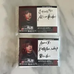 WHITE SCORPION ホワスピ ALLY 直筆サイン チェキ WHITE SCORPION 8th MV衣装ALLY 直筆サイン ホワスピ - メルカリ
