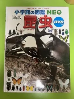新版 昆虫 DVD付き