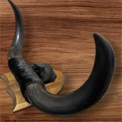 Item thumbnail for item 7cb22123-8e5c-4175-abf7-1819bc416784