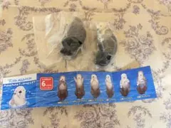 PukaPuka 海獺 扭蛋 2體組 (キラちゃん & メイちゃん)