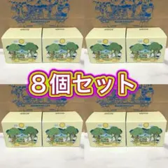 ARABIA アラビア マグ 2026 ムーミンバレーパーク限定デザイン 8個