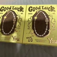 m*a様 ラブブ GOODLUCK TO YOU 新品未開封 2個セット