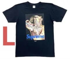 Item thumbnail for item 466cc2ce-1a24-4c06-918c-e42a75c8fd40