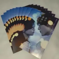 君が最後に遺した歌　フヤイヤー 20枚セット。