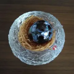 イッタラバード　鳥の巣