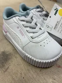 Item thumbnail for item 2df20c7a-6d54-4eae-85ad-afdda6701332