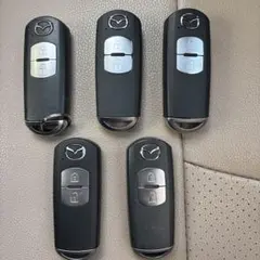 Item thumbnail for item 752a0d8e-2d01-4400-8e47-3f3cfeea163d