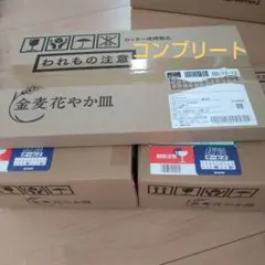 金麦 花やか皿 12枚セット コンプリート