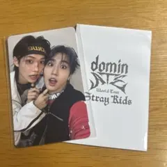 straykids ユニットレカ ハン フィリックス dominate エコパ