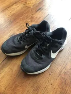 Item thumbnail for item a25fa154-abd7-4cb2-a6fb-1e24f3a4da84