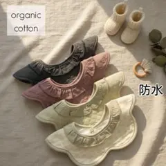 Item thumbnail for item a78956bb-07f9-43a1-b0c6-043a095f77d1