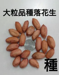 atheram様 リクエスト 2点 まとめ商品