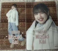 Item thumbnail for item 83529160-1701-4b33-8404-6361fbb3478e