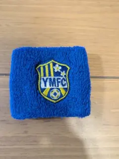 Item thumbnail for item c855ce3d-8797-4ca2-bd2a-fcc756f5b23b