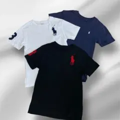 ポロラルフローレン ビッグポニー・スモールポニーTシャツ Sサイズ　3枚セット